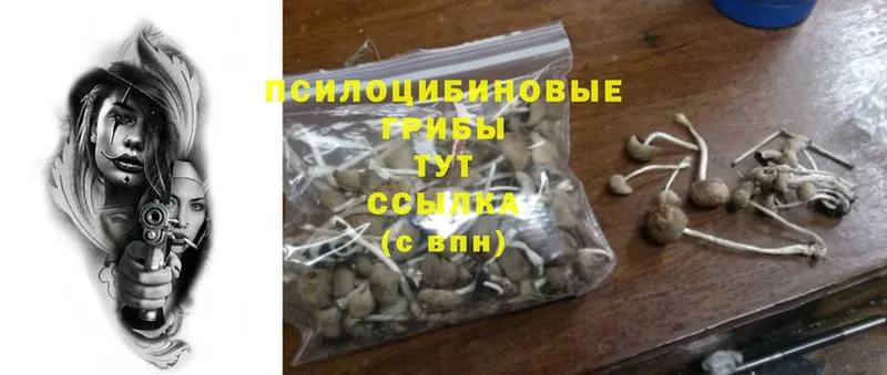 Псилоцибиновые грибы GOLDEN TEACHER  kraken вход  Суоярви 