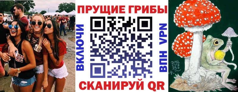 Галлюциногенные грибы прущие грибы Суоярви